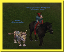slimpets07.jpg