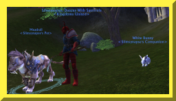 slimpets16.jpg