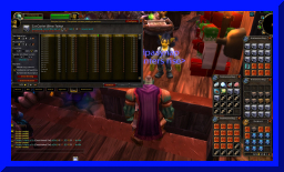 auction03.jpg