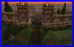 shapeshift02.jpg