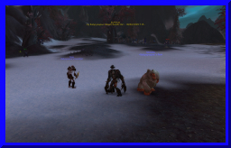 shapeshift08.jpg