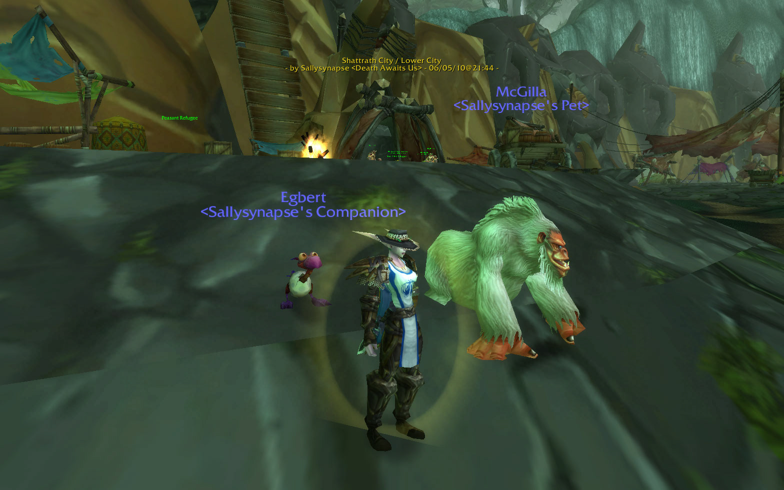 new pet from day of #7f6aa.jpg