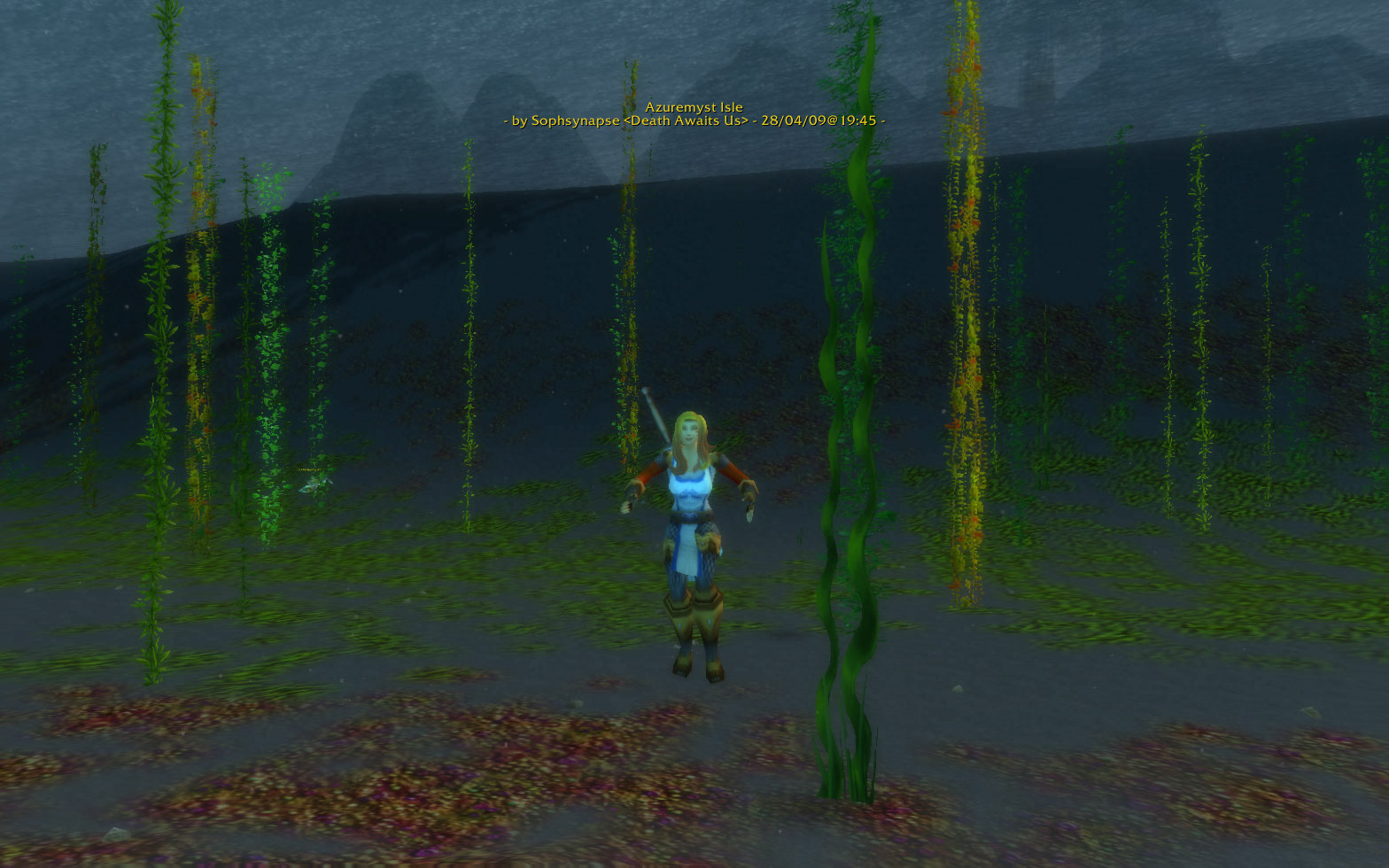 seaweed.jpg