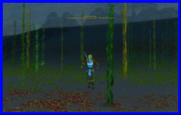 seaweed.jpg